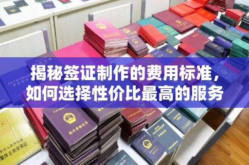 港口揭秘签证制作的费用标准，如何选择性价比最高的服务？